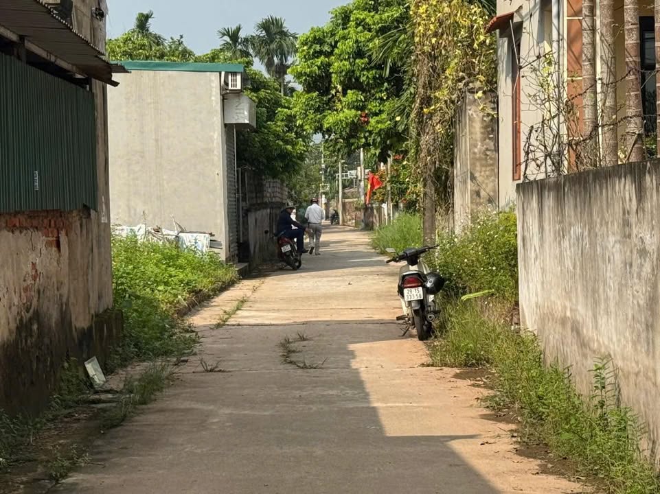 Đất nền Chương Dương Thường Tín 59m² giá 4 tỷ - Giao thông thuận tiện, đầy đủ tiện ích!