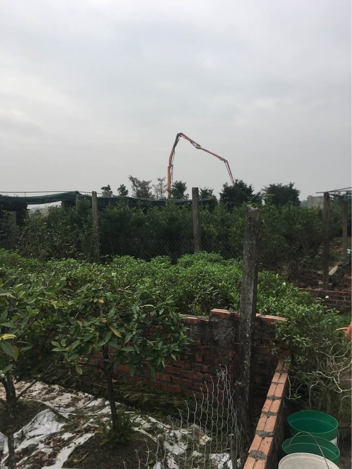 Đất thổ cư 155m² xã Nam Toàn, huyện Nam Trực - Giá chỉ 900 triệu VND!