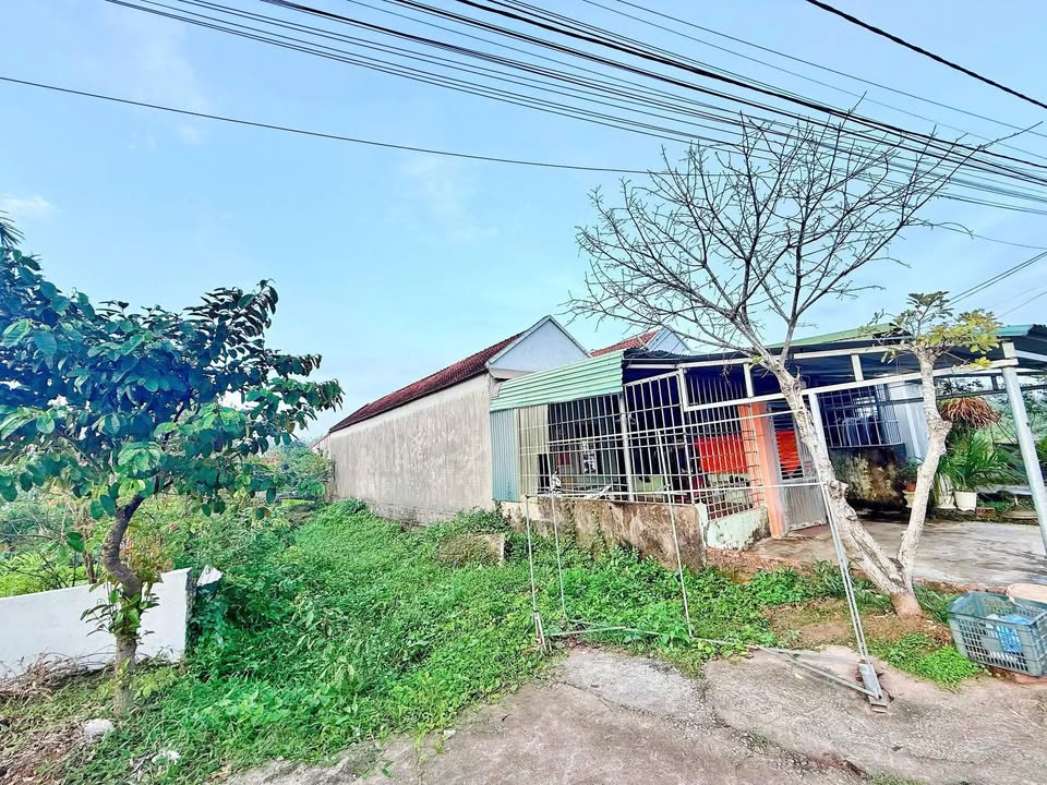 Nhà cấp 4 Khu 6 Hải Yên 140m² giá 1 tỷ - Chuyển nhượng chính chủ!