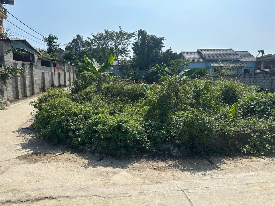 Đất nền Phú Cát 136m² giá 3 tỷ - Lô góc đẹp, tiện ích đầy đủ!