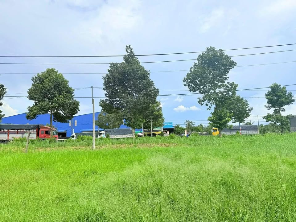 Đất nền biệt thự Hữu Định Bến Tre 784m² giá 1.1 tỷ - Cơ hội đầu tư hấp dẫn!