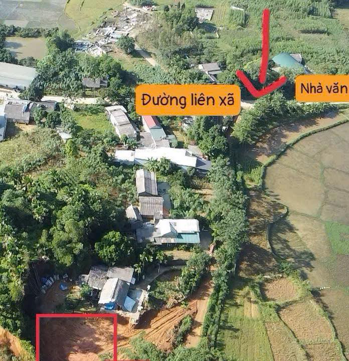 Đất thổ cư Phượng Vĩ Cẩm Khê 408m² giá chỉ 500 triệu - Đầu tư sinh lời cao!