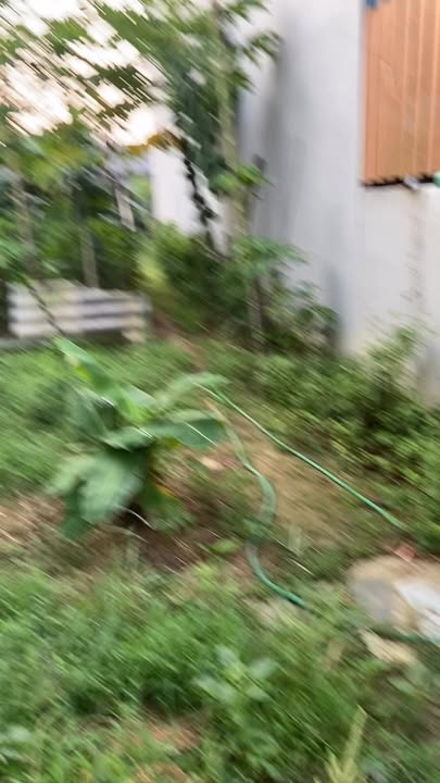 Đất thổ cư Tân Xã Thạch Thất 145m² giá 5.725 tỷ - Tiềm năng đầu tư lớn!