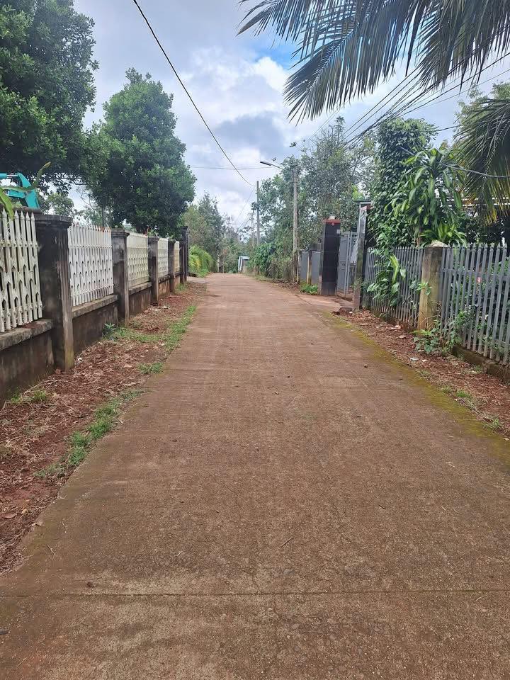 Đất nền Đức Mạnh Đắk Mil 228m² giá 650 triệu - Cơ hội vàng cho đầu tư!