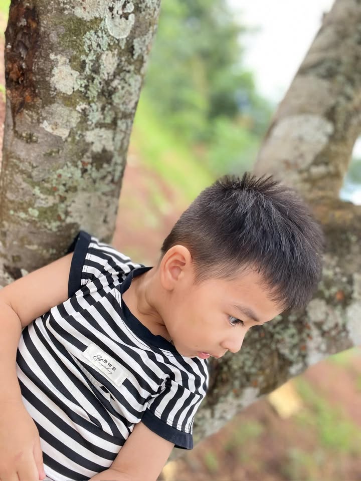 Đất 3 mặt tiền QL14A Đắk Mil 459m² giá 6.3 tỷ - Cơ hội đầu tư sinh lời!