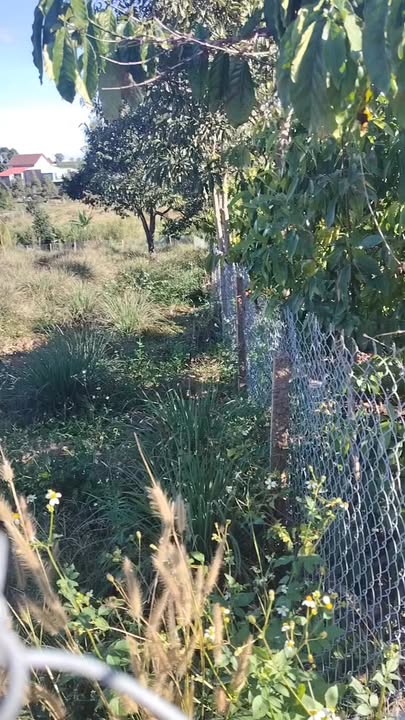 Đất nhà vườn 1792m² tại Hà Mòn, Đăk Hà - Tiềm năng đầu tư tuyệt vời!