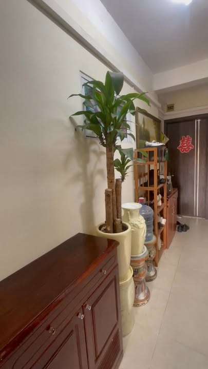 Chung cư mini Ba Đình 52m² giá 2 tỷ - Sổ hồng chính chủ, nội thất xịn!