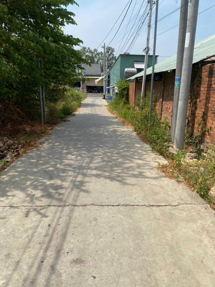 Đất vườn thổ cư Long Thành 988m² giá 5 tỷ - Phù hợp xây nhà vườn!