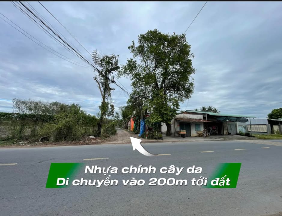 Đất nền Hiệp Thạnh Gò Dầu 150m² giá đầu tư hấp dẫn - Chỉ còn 2 lô!