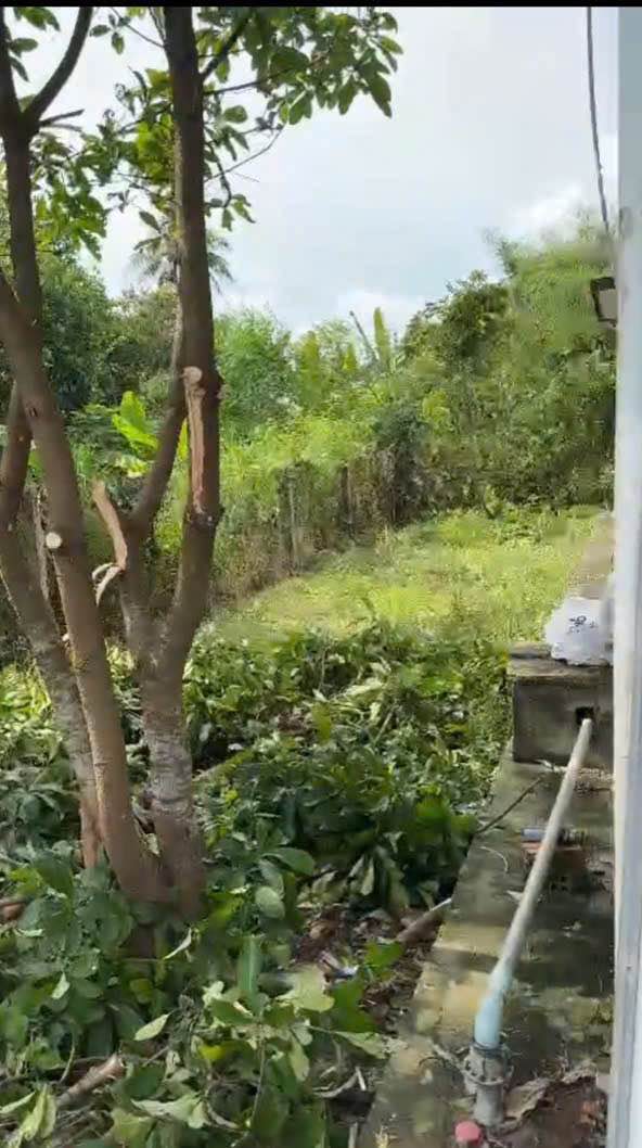 Đất nền Kp Thanh Hùng, Phường Thanh Điền, Tây Ninh 142m² - Giá chỉ 600 triệu VND!