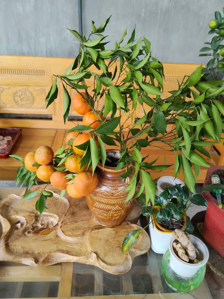 Đất nền Phường Kỳ Sơn Hòa Bình 400m² giá 3.95 tỷ - Đầu tư sinh lời tiềm năng!