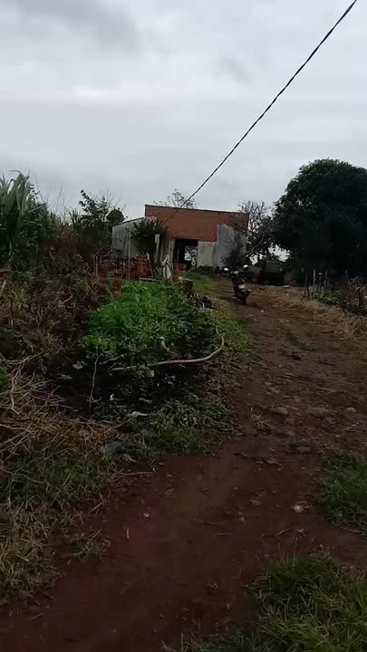 Đất nông nghiệp Sơn Phước, Sơn Hòa 8,7ha - Đang cho thu hoạch 700 triệu/năm!