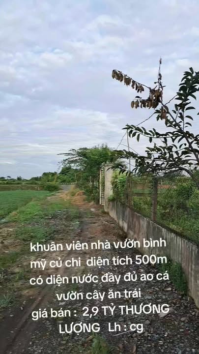 Nhà vườn Bình Mỹ, Củ Chi 500m² giá 2.9 tỷ - Nơi nghỉ dưỡng tuyệt vời cho gia đình!