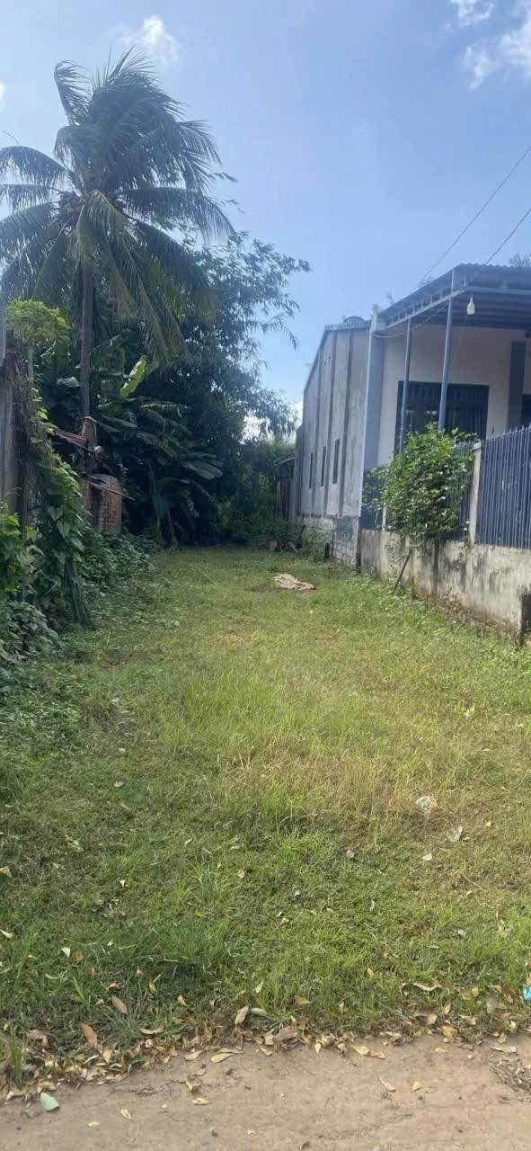 Đất thổ cư Khánh Xuân, Buôn Ma Thuột, 215m² - Vị trí đắc địa, giá hấp dẫn!