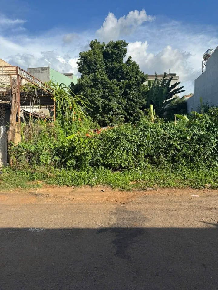 Đất hẻm 211 Phạm Văn Đồng, Tân Hòa 297m² giá 3.3 tỷ - Lô góc xây biệt thự vườn!