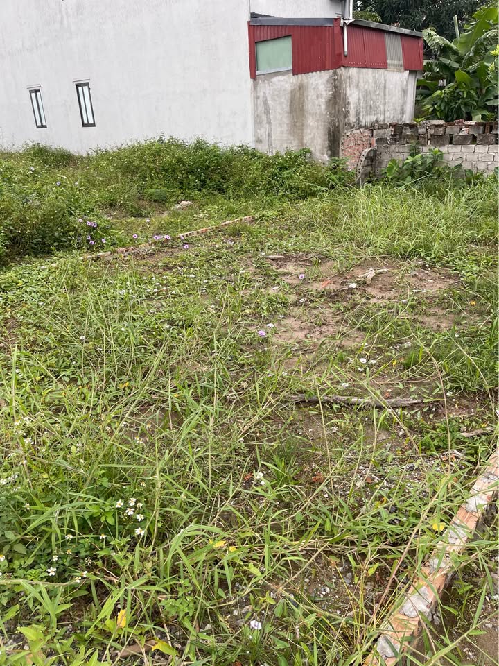 Đất nền Vạn Hương Đồ Sơn 56m² - Vị trí cực đẹp, đầu tư sinh lời!