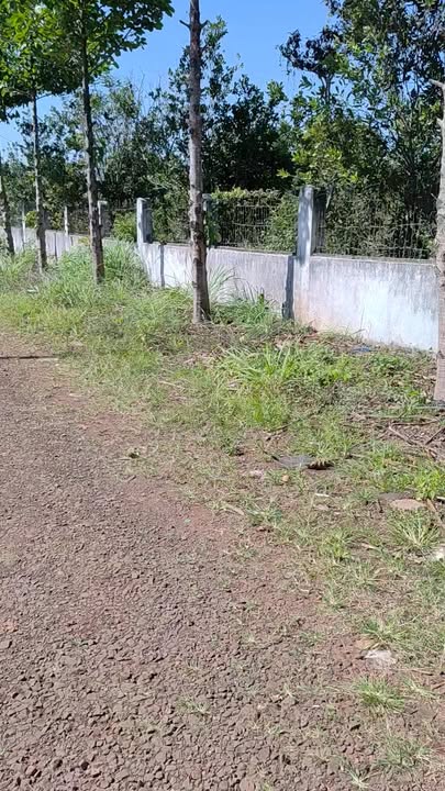 Mảnh vườn 4.4 ha tại xã Ia Tôr, Chư Prông - Cơ hội đầu tư sinh lời!