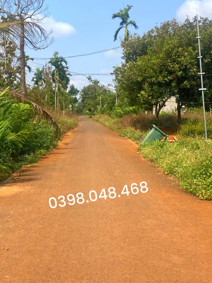 Đất nền Phường Tân Lập, Buôn Ma Thuột 600m² - Giá đầu tư hấp dẫn!