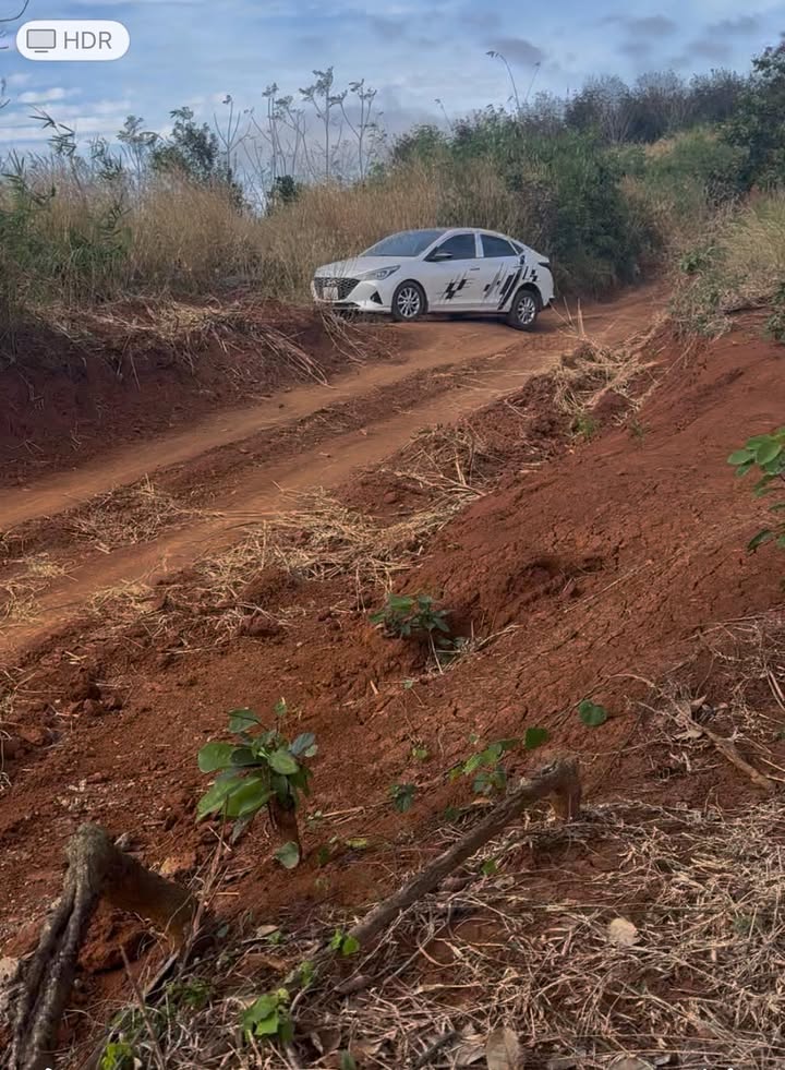 Đất nền Quảng Tân Tuy Đức 1ha giá 299 triệu - Cơ hội đầu tư lý tưởng!