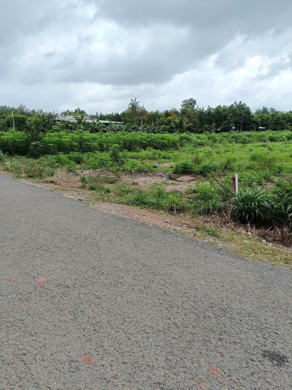 Đất nền Dầu Tiếng 600m² giá 300 triệu - Đầu tư sinh lời ngay hôm nay!