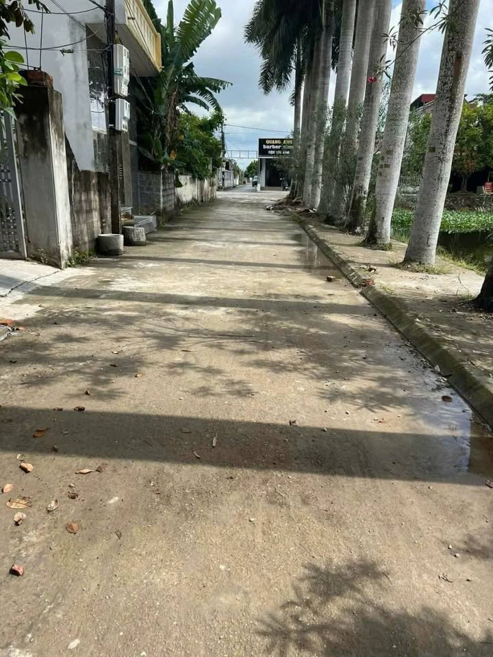 Đất nền thôn Hòa Bình, xã An Hưng 60m² giá 400 triệu - Cơ hội đầu tư sinh lời cao!