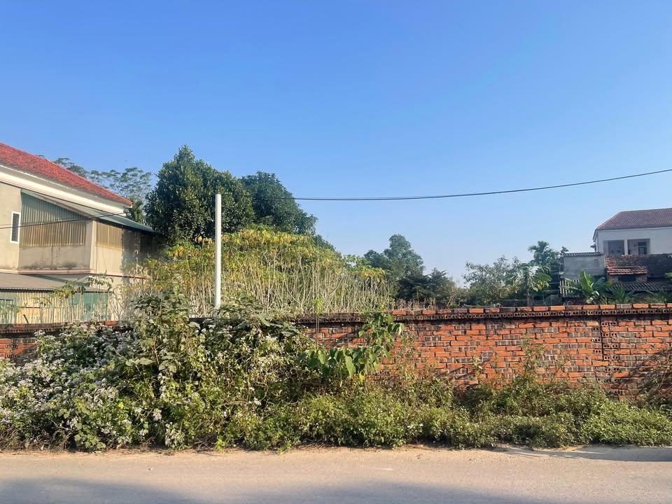 Đất phân lô Thanh Đình, Việt Trì 93m² - Ô góc 800 triệu, đầu tư sinh lời!