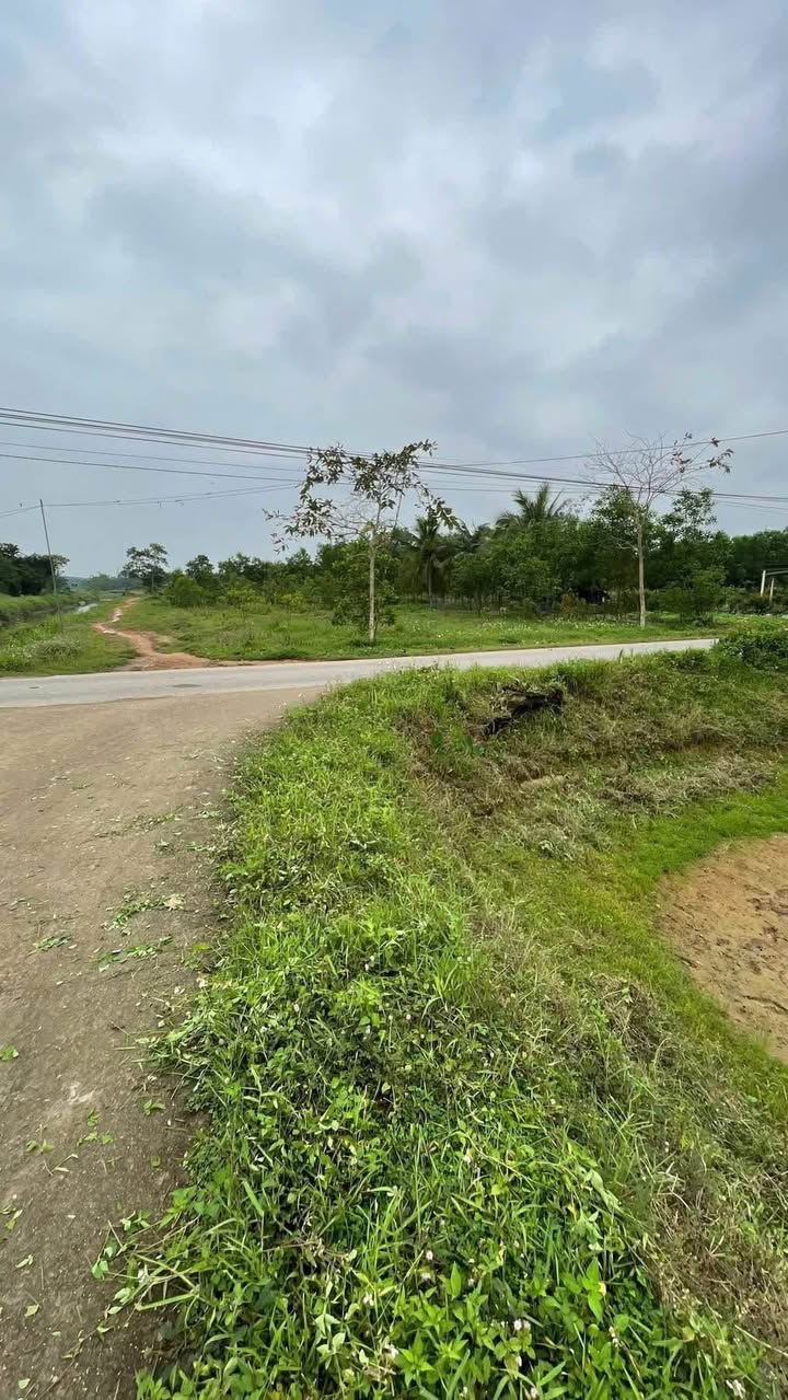 Đất 2 mặt tiền Phú Hưng, Hải Phú - Diện tích 168m², giá thỏa thuận - Cơ hội đầu tư hấp dẫn!