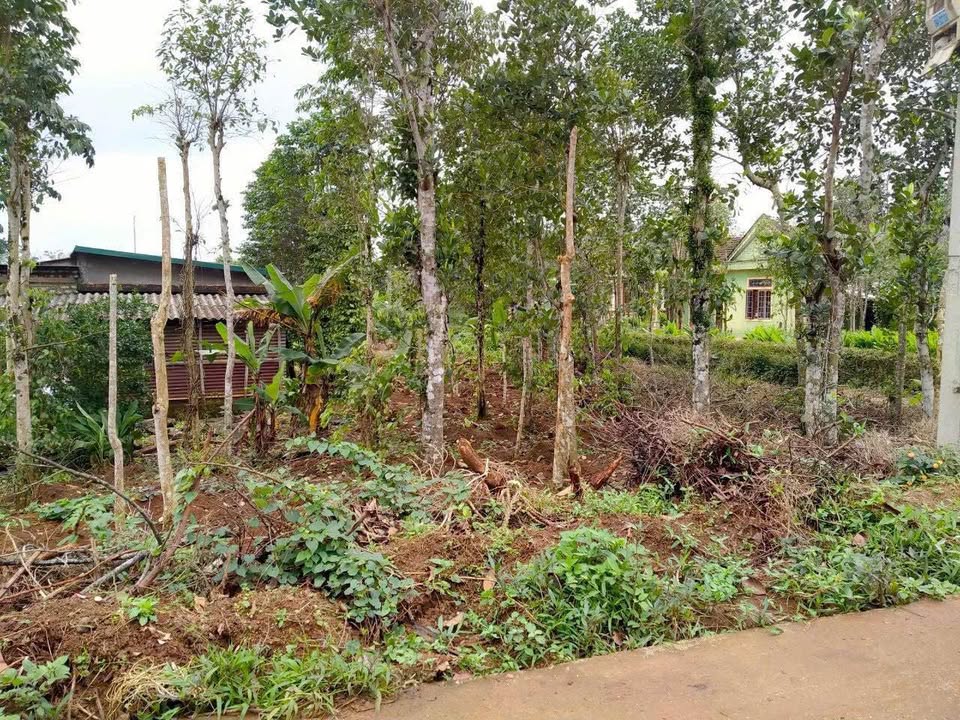 Đất nền xã Hải Thái, Gio Linh 983m² giá chỉ 300 triệu - Cơ hội đầu tư tuyệt vời!