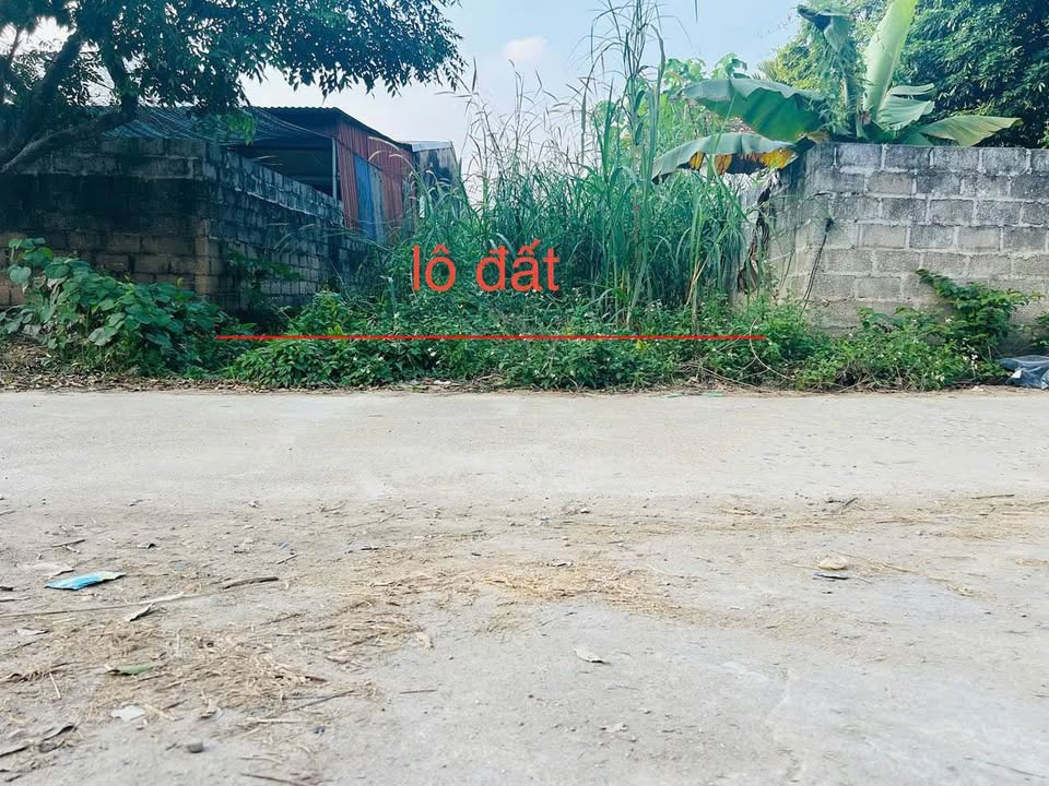 Đất nền Linh Sơn Thái Nguyên 168m² giá 1.1 tỷ - Vị trí thông thoáng, hướng Đông Nam!