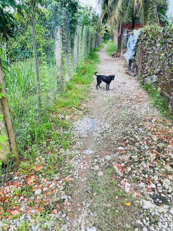 Đất vườn Tiên Thủy Châu Thành 800m² giá 510 triệu - Pháp lý rõ ràng, sẵn sàng giao dịch!