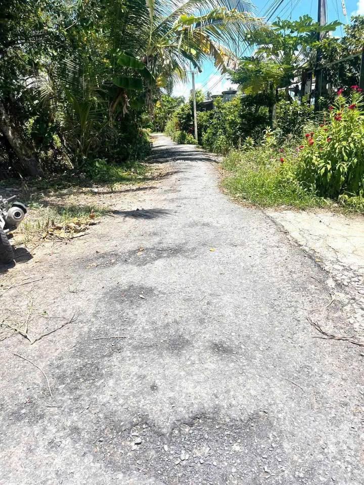 Nhà riêng tại Phú Quới, Long Hồ 134m² giá 720 triệu - Sẵn sàng ở ngay!