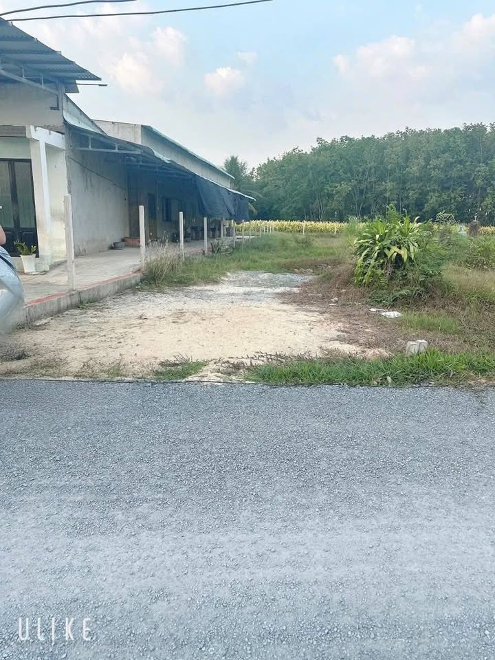 Đất thổ cư 240m² tại Gò Dầu, Tây Ninh - Giá cả thỏa thuận, sổ hồng chính chủ!