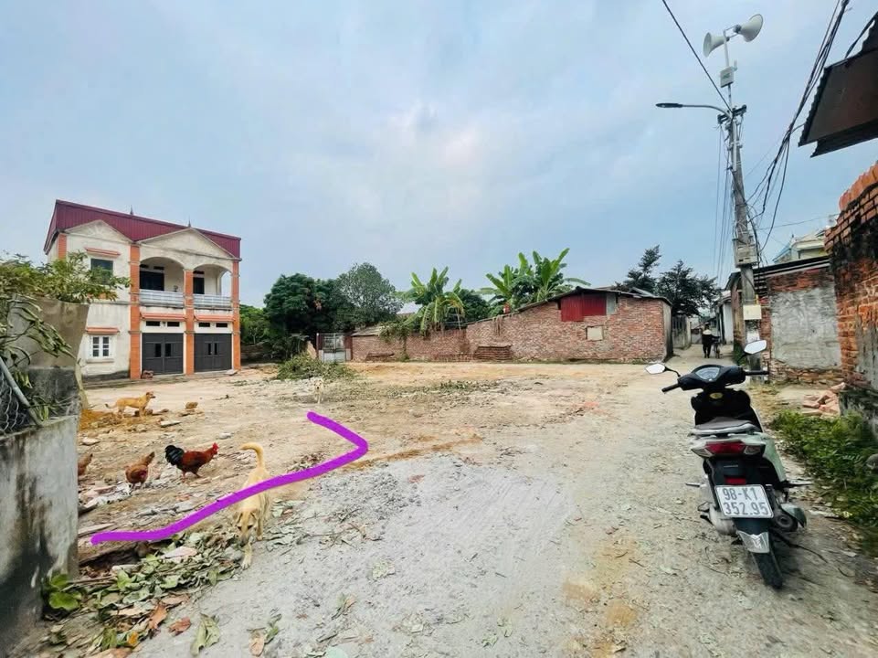 Đất nền Tự Lạn, Việt Yên 90m² giá 800 triệu - Bán gấp chính chủ!