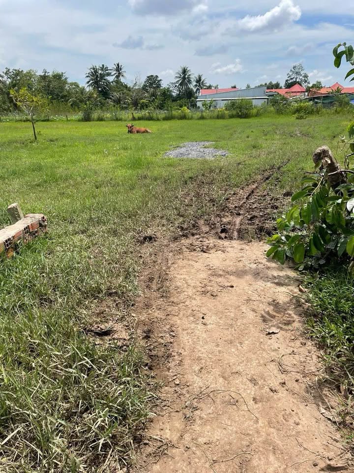 Đất nền Phường Thanh Đức, TP Vĩnh Long 103.2m² giá 480 triệu - Sổ đỏ chính chủ, xây dựng ngay!