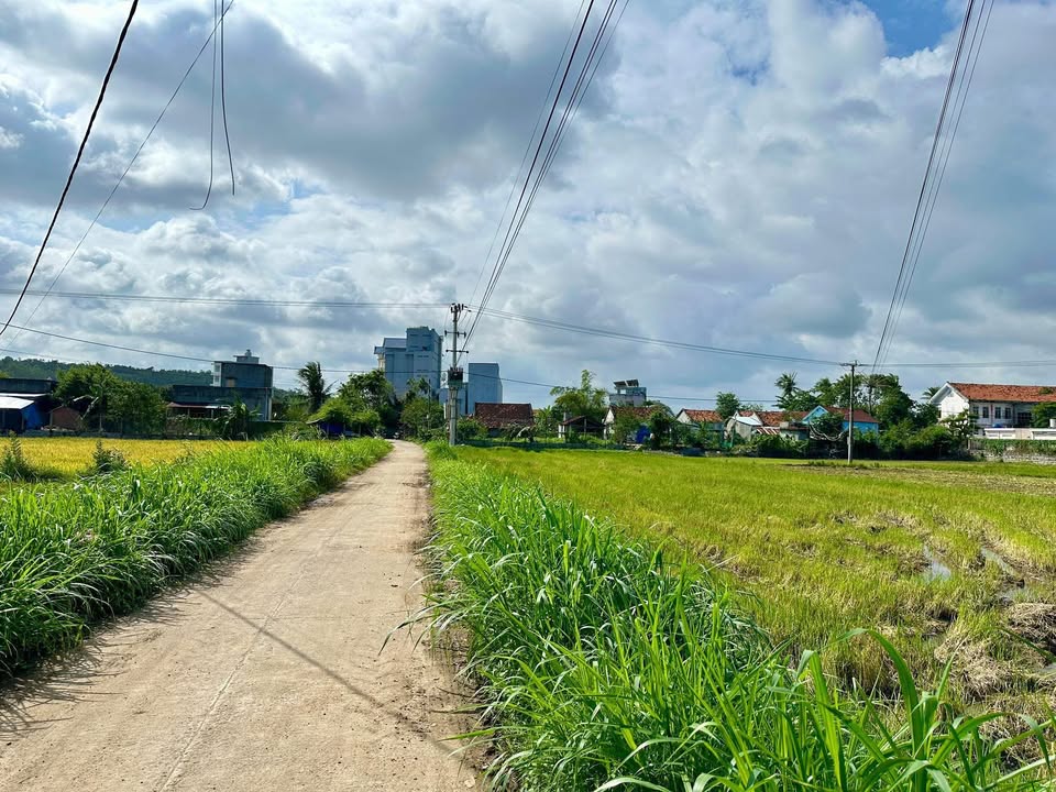 Lô đất thổ cư Ô Loan Tuy An 100m² giá 600 triệu - Cơ hội đầu tư hấp dẫn!