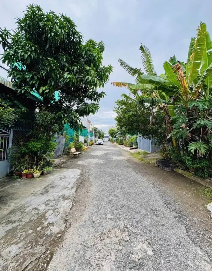 Đất nền đường Lê Thị Sáu, phường 5, Bạc Liêu, 84m² - Giá chỉ 850 triệu, thương lượng!