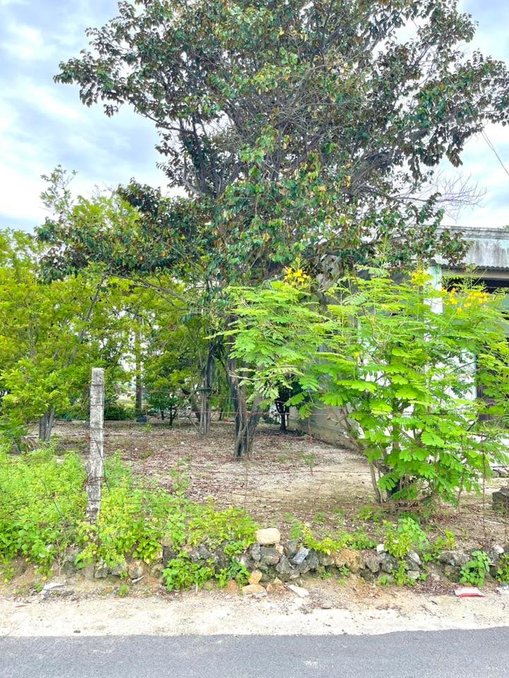 Đất nền Cam Ranh 140m² giá tốt - Sổ hồng chính chủ, đường ô tô vào tận nơi!