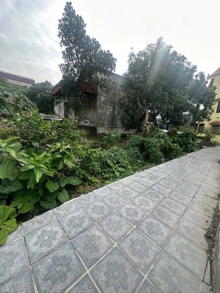 Đất ONT 216m² Tân Quang, Văn Lâm - Cơ hội đầu tư hấp dẫn!