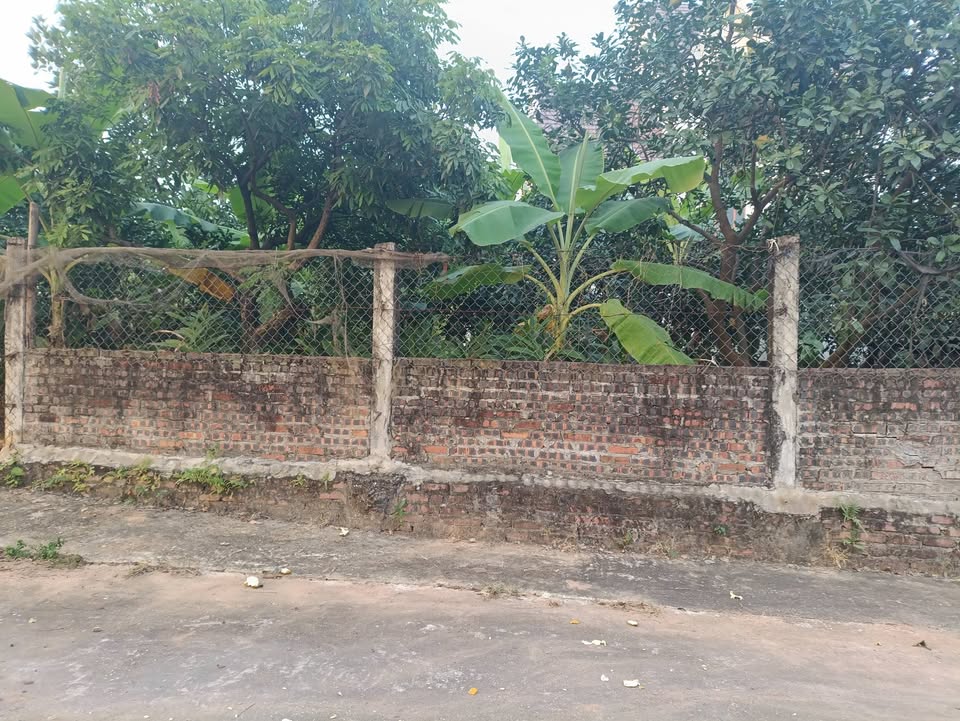 Đất Võng La 53m² giá 4.8 tỷ - Đầu tư sinh lời ngay!