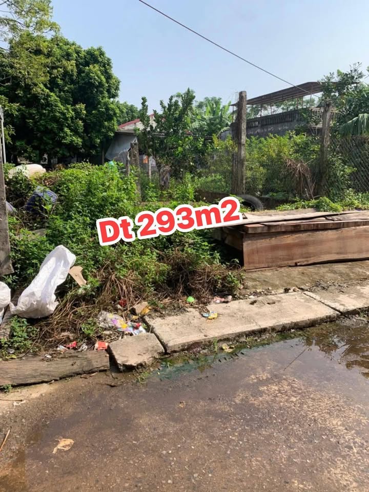 Đất nền Hưng Công Bình Lục 293m² giá chỉ 1 tỷ - Đầu tư sinh lời ngay!