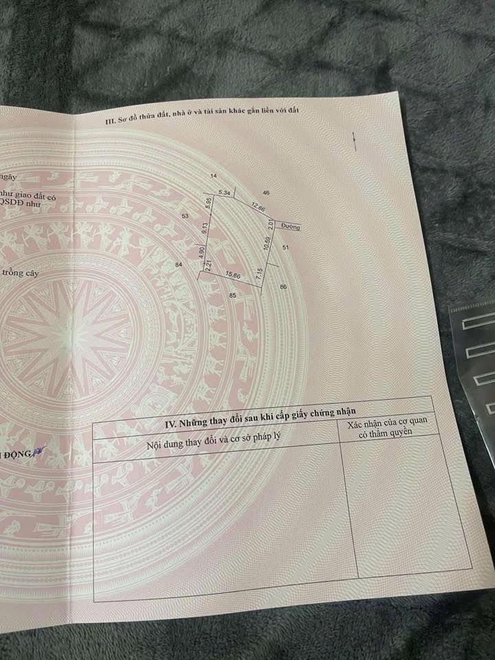 Đất nền Chính Nghĩa, Kim Động 600m² giá 5.4 tỷ - Đầu tư sinh lời hấp dẫn!