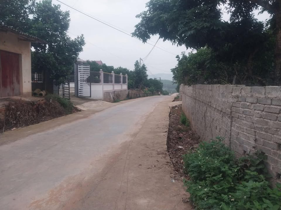 Đất nền Tân Lập Lục Ngạn 800m² giá chỉ 600 triệu - Cơ hội đầu tư tuyệt vời!