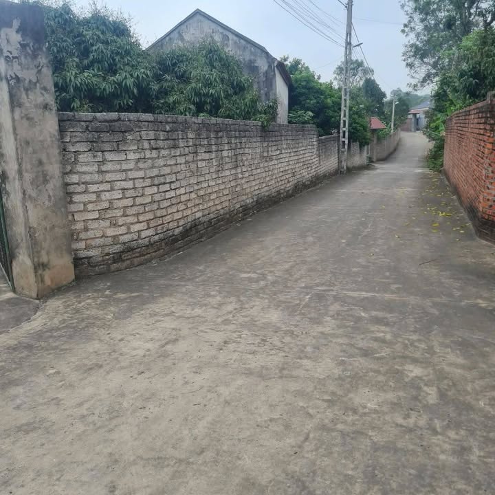 Đất nền Tân Yên Bắc Giang 1270m² giá thỏa thuận - Mặt tiền 43m ô tô vào tận nơi!