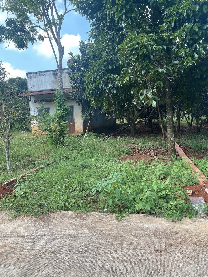 Đất nền 1000m² tại Bình Lộc, Long Khánh - Sổ đỏ chính chủ, giá tốt!