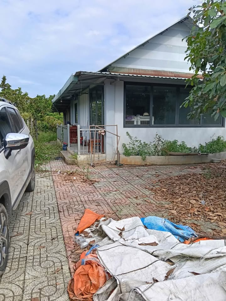 Farm 1000m² Bình Mỹ Củ Chi giá 6.5 tỷ - Cơ hội sở hữu nhà vườn tuyệt đẹp!