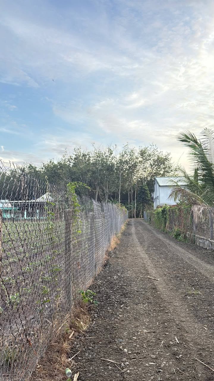 Đất Phước Minh, Dương Minh Châu 175m² giá 250 triệu - Đầu tư sinh lời ngay!