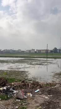 Đất thổ cư 560m² tại Thành Lộc, Hậu Lộc chỉ 1.3 tỷ - Đầu tư sinh lời ngay!