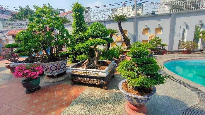 Biệt thự nghỉ dưỡng Hồ Bá Phấn 1000m² giá 79 tỷ - Thiết kế như resort cao cấp!