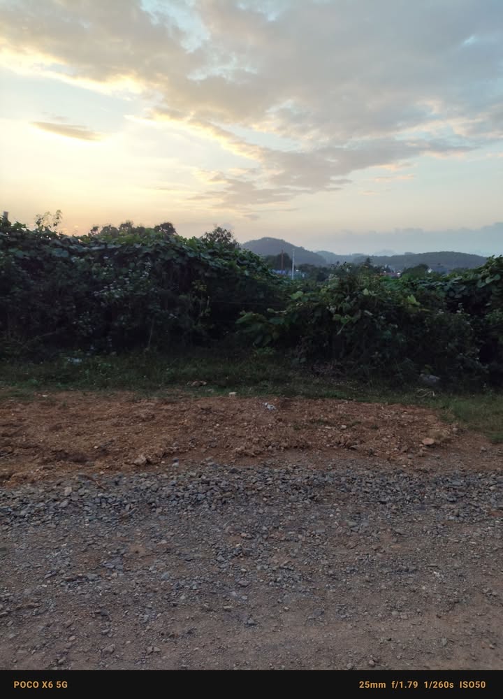 Đất thổ cư 400m² Thôn 1, Phú Long, Ninh Bình - Giá thỏa thuận hấp dẫn!