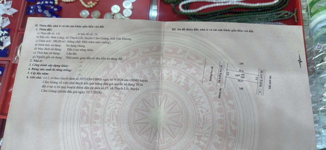 Đất nền Thôn Lũng, Xã Thạch Lỗi, Cẩm Giàng 100m² giá 20 tỷ - Đầu tư sinh lời bền vững!